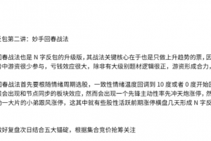 【主升龙头真经】13级群 N字反包之妙手回春战法 1文档