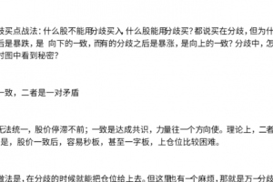 【主升龙头真经】13级群 龙头分歧买点战法 1文档