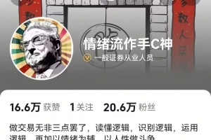 【情绪流C神】圈内体系课件