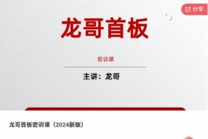 飞龙游资团龙哥首板密训课（2024新版）
