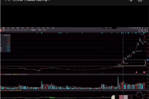 短线实战股票视频课程 19课