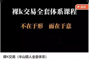 裸K交易(半山猎人全套体系)视频课 裸K不在于形而在于意