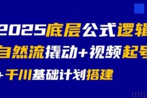 大明老师2025底层公式逻辑自然流撬动+视频起号+千川基础计划搭建
