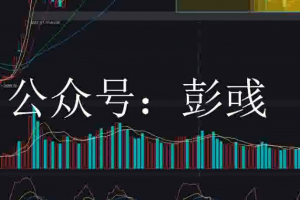公众号彭彧系统课赚钱效应发现与运用+复盘教学