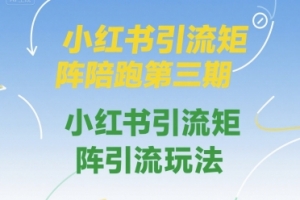 钟小玲小红书引流矩阵陪跑第三期，小红书引流矩阵引流玩法