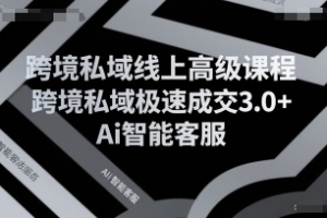 跨境私域线上高级课程，跨境私域极速成交3.0+Ai智能客服