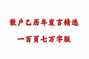 散户乙历年发言精选汇编散户乙杂谈（一百页七万字版）