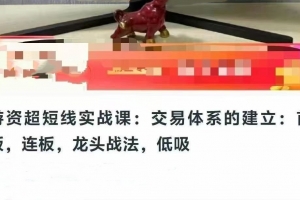 游资超短线实战课：交易体系的建立：首板，连板，龙头战法，低吸
