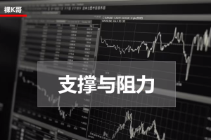 裸K哥 进阶课（学习裸K交易）