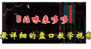 B站咪来哆哆《全网最易上手，盘口实操教学》视频课程