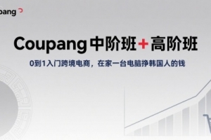 Coupang中阶班+高阶班，0到1入门跨境电商，在家一台电脑挣韩国人的钱