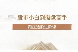 投机大拿跟庄选股进阶课