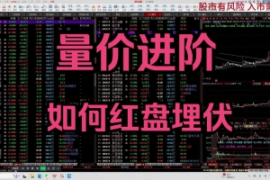 B站米来哆哆《量价进阶,如何红盘埋伏》 2025.07.20充电视频