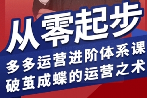 海神·拼多多运营进阶系统课，从零起步，多多运营进阶体系课，破茧成蝶的运营之术