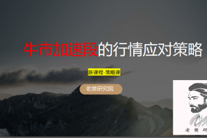 【老樊研究院】老樊20250824牛市加速段的应对策略 视频+PDF课件