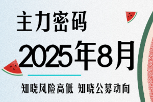 周公子·主力密码（更新8月）