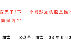 【血饮付费文250829】：市场变天了！下一个暴涨龙头股是谁？（股市走向何方？）