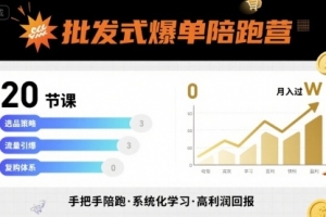 珊珊批发式爆单陪跑营，20节课带你实现批发式爆单，带你经松月入过W