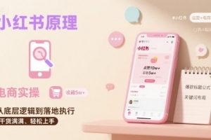 小红书原理以及详细实操流程，小红书电商教程