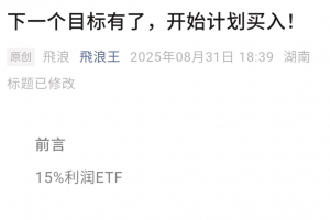 【飞浪王付费文250831】：下一个目标有了，开始计划买入