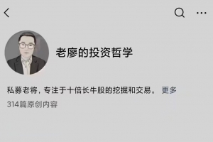 老廖的投资哲学2024.10-2025.04实战训练营