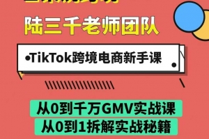 陆三千TikTok跨境电商新手课，TikTok从入门到盈利的全流程！