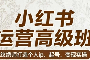 伊伊小红书运营高级班 纹绣师打造个人ip、起号、变现实操