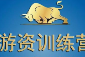 《游资训练营：龙头战法初级教程》共13集