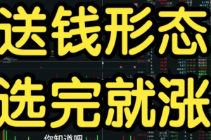 超短小师妹《送钱形态，选完就涨》充电视频2025-09-13