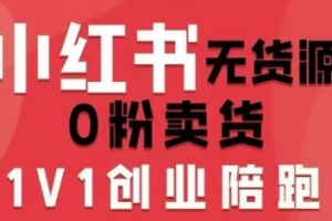 爱野佩佩小红书无货源0粉电商课，开店准备、选品策略、笔记撰写、视频剪辑、数据分析、账号打造、资料文档