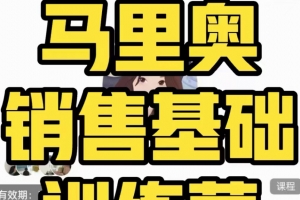 马里奥《销售基础训练营》