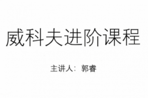 郭睿威科夫进阶课程,威科夫交易系统