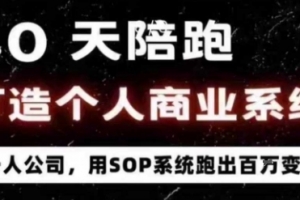 40天商业系统陪跑，一人公司，用SOP系统跑出百W变现