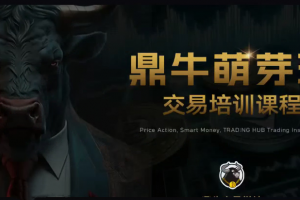 鼎牛交易学社 鼎牛萌芽班 Beginner Class交易培训课程Trading Hub 价格行为