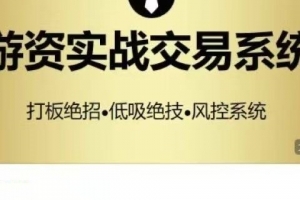 游资枪锋实战系列高端课程，游资实战交易系统，打板绝招低吸绝技风控系统