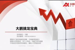 王鹏-大鹏擒龙宝典系列课程