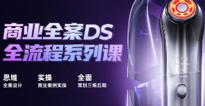 巧匠商业全案DS全流程系列课