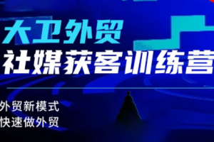 大卫老师·外贸社媒获客独家训练营，外贸新模式，快速做外贸
