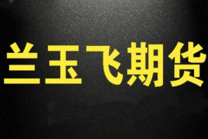 兰玉飞三节课学会期货趋势交易系统视频课程