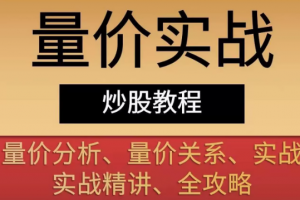 量价实战教程 量价关系量价分析实战量学精讲全攻略 14套合集