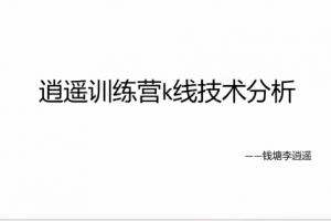 【钱塘李逍遥】逍遥训练营k线技术分析+闲聊票之见龙在田 2视频