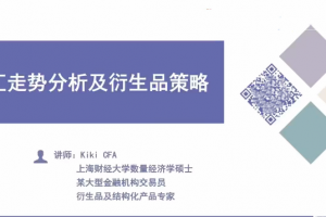 外汇实战交易及策略分析