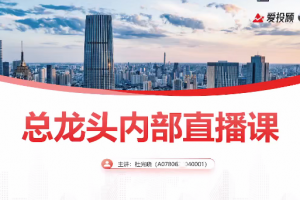 【总龙头战法 杜光晓】2024年圈内教学