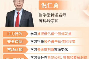 倪仁勇筹码峰跟庄战法小班课+资料工具指标