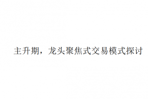 看懂龙头股复盘哥 主升期，龙头聚焦式交易模式探讨文章 PDF课件