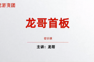 飞龙游资团 龙哥首板密训课 首板战法