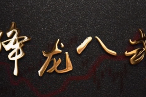 中广云陈博文老师高阶系统课降龙八式