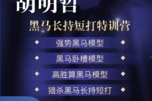 胡明哲-黑马长持短打特训营，长持短打交易模型