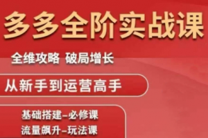 大炮·拼多多全阶实战课程（更新2026）