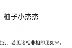 【柚子小杰杰】龙虎门2025.6-11月